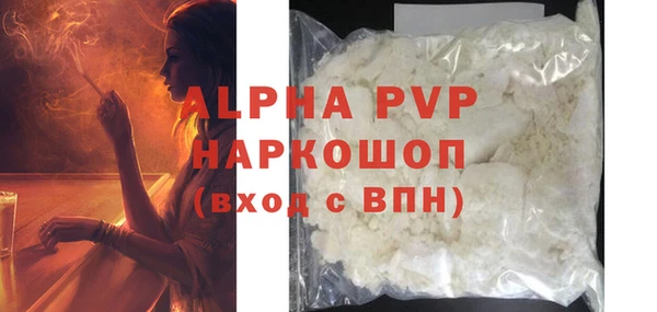 гашик Арсеньев