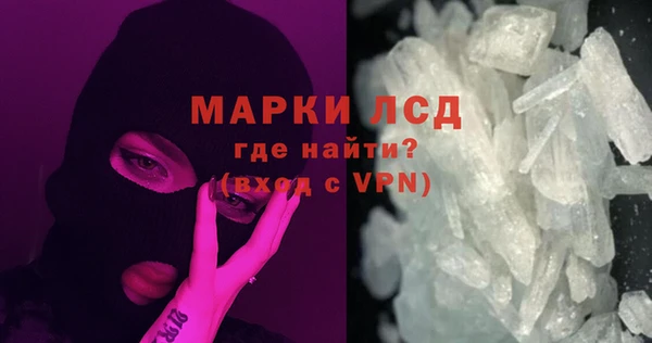 гашик Арсеньев