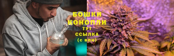 дживик Балабаново